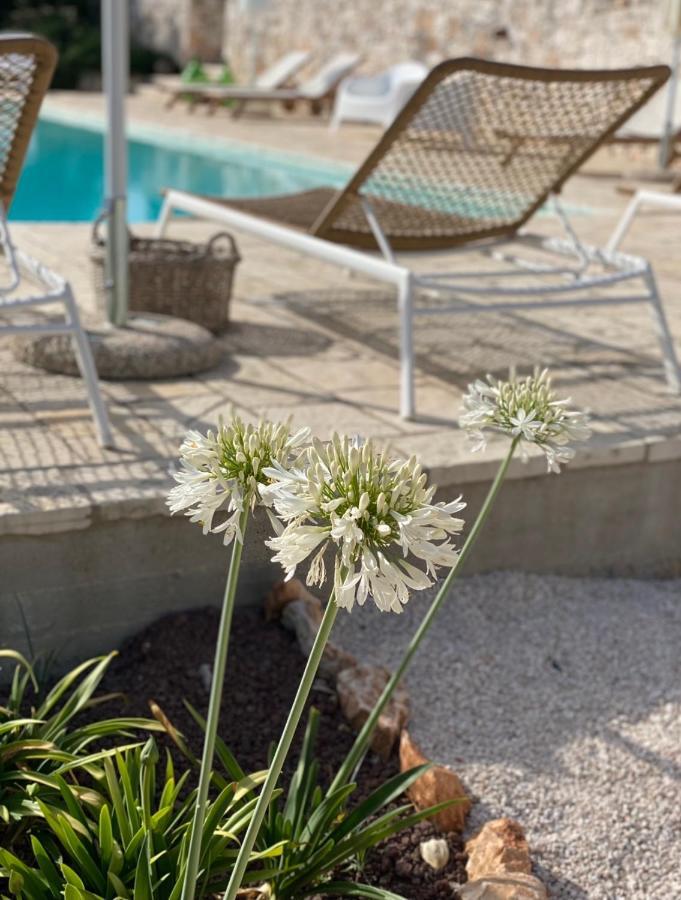 Bed and Breakfast Dimora Le Ginestre Adults Only Fasano Exterior foto