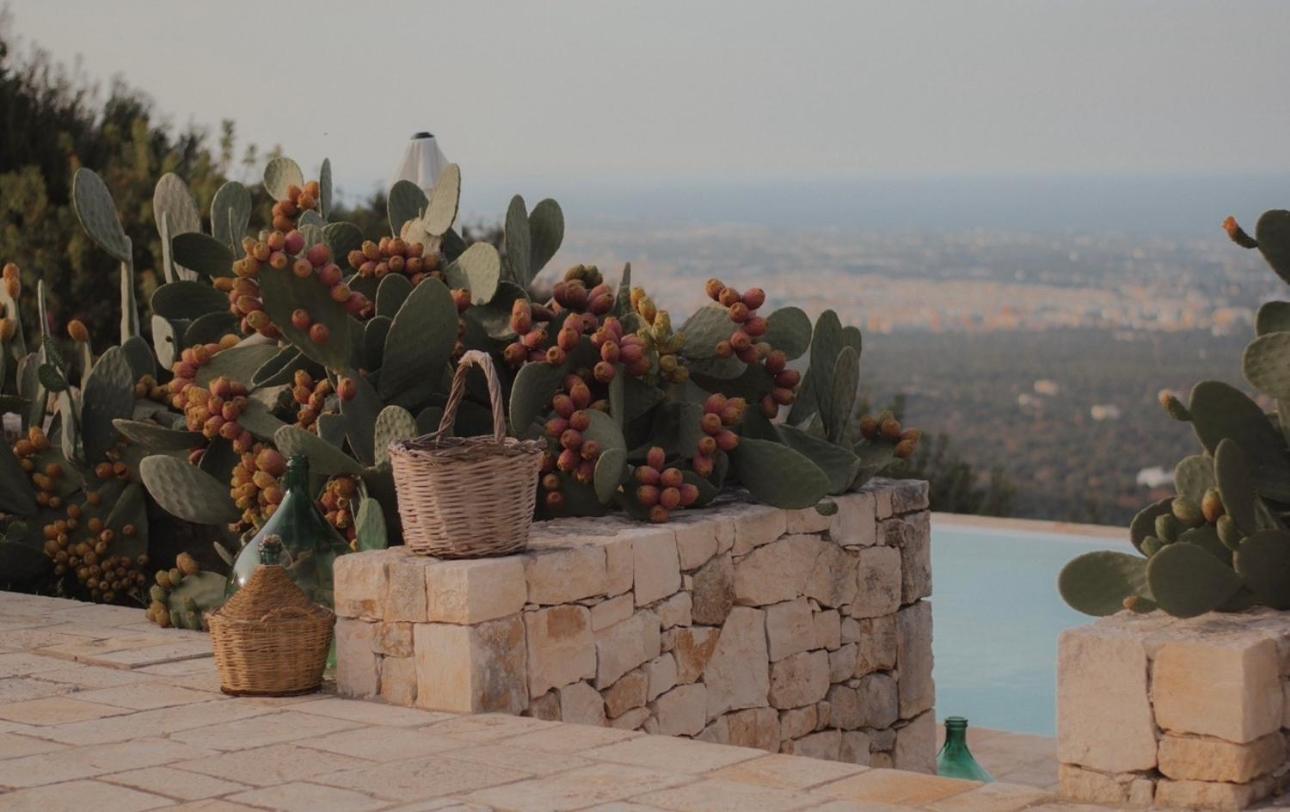 Bed and Breakfast Dimora Le Ginestre Adults Only Fasano Exterior foto