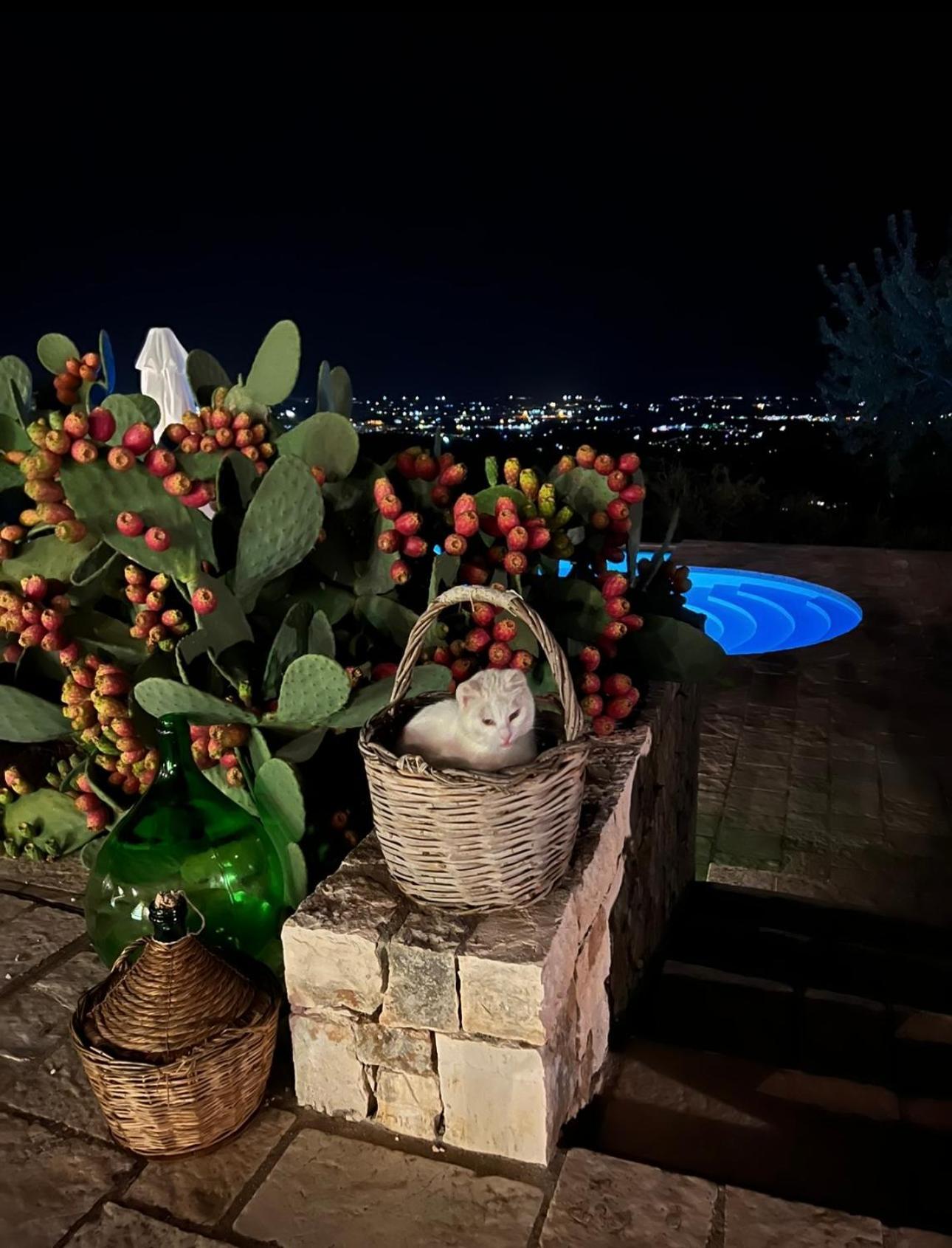 Bed and Breakfast Dimora Le Ginestre Adults Only Fasano Exterior foto